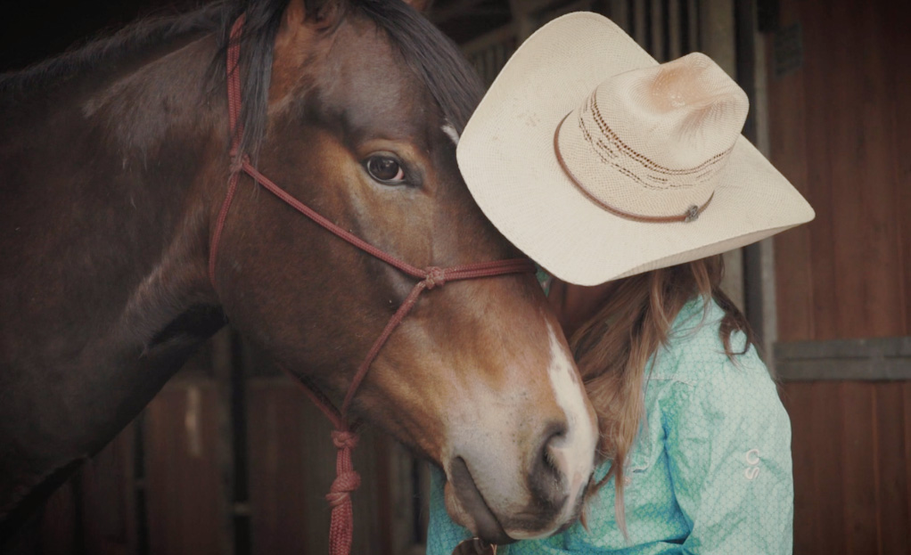 Back Diamond Land + Cattle, Boarding services, polo club, ranch house, and equestrian services near Calgary, Alberta.