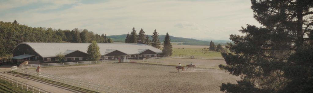 Back Diamond Land + Cattle, Boarding services, polo club, ranch house, and equestrian services near Calgary, Alberta.