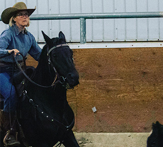 Back Diamond Land + Cattle, Boarding services, polo club, ranch house, and equestrian services near Calgary, Alberta.