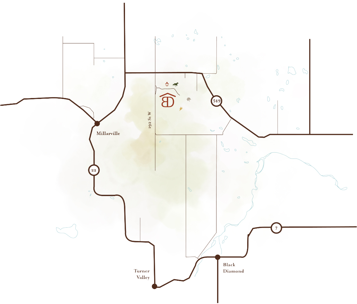 Contact Back Diamond Land + Cattle, Boarding services, polo club, ranch house, and equestrian services near Calgary, Alberta.