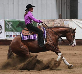 Back Diamond Land + Cattle, Boarding services, polo club, ranch house, and equestrian services near Calgary, Alberta.